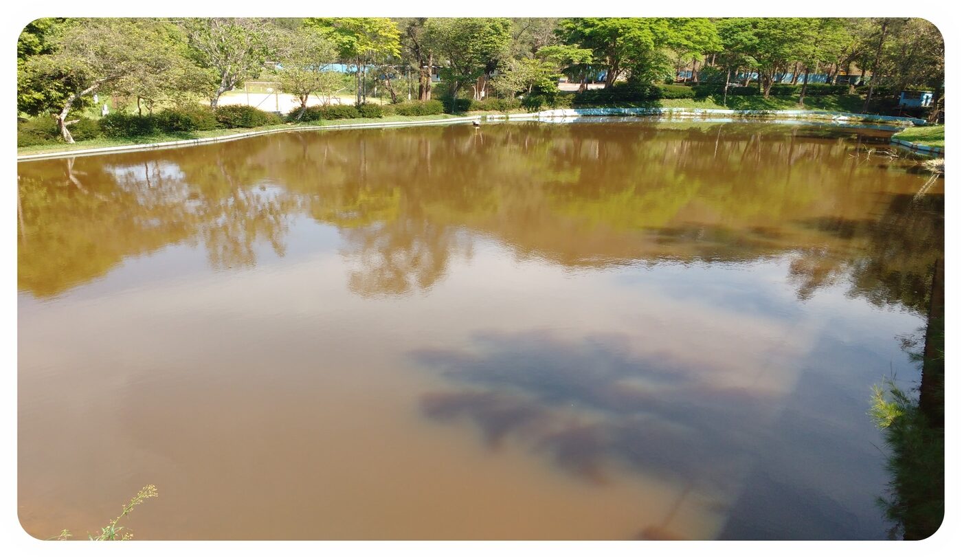 Lago da Sede Campestre ASE-JF